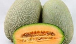 护士吃哈密瓜视频大全免费,甜蜜瞬间免费视频大盘点